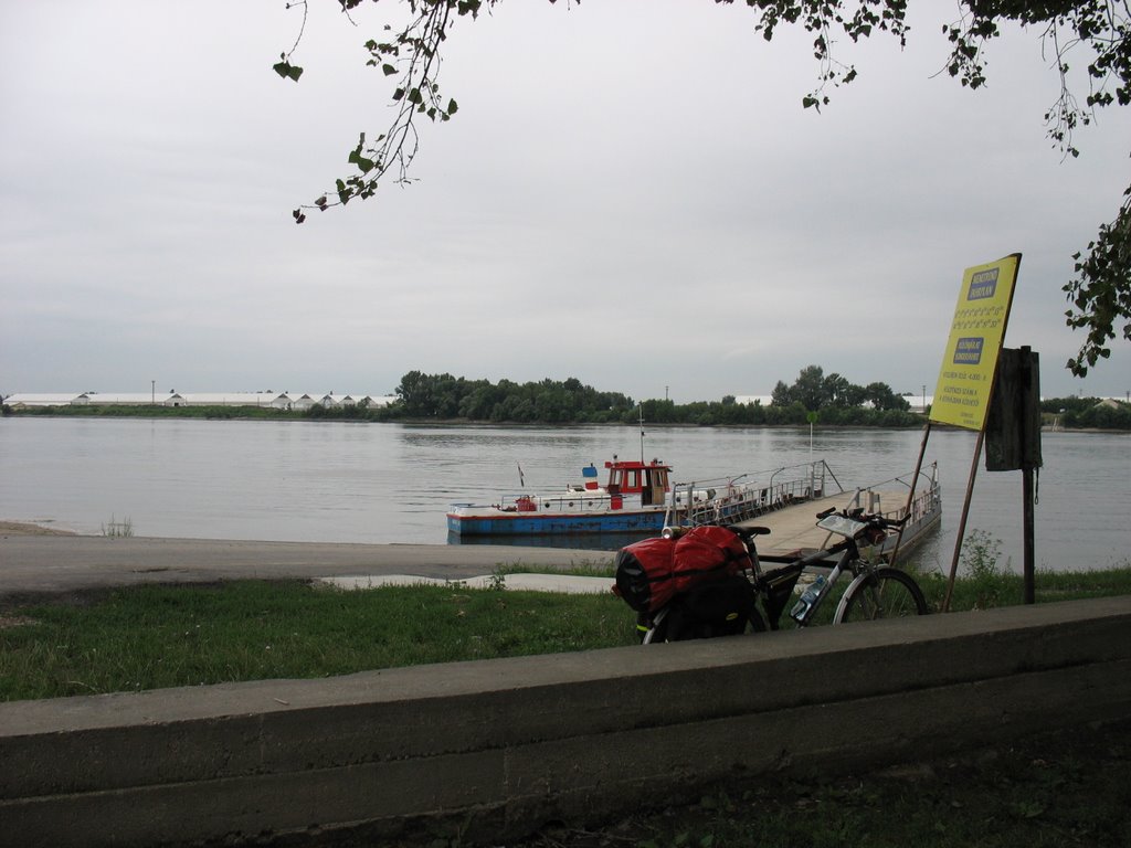 img_1216.jpg